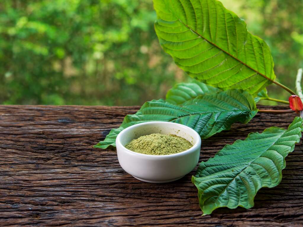 A Detailed Look at Green Maeng Da Kratom's Alkaloid Profile