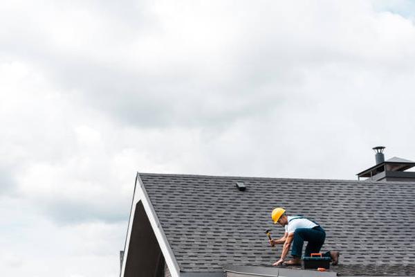 The Ultimate Guide to Roofing Pros LLC Tips for a Durable and Stylish Roof